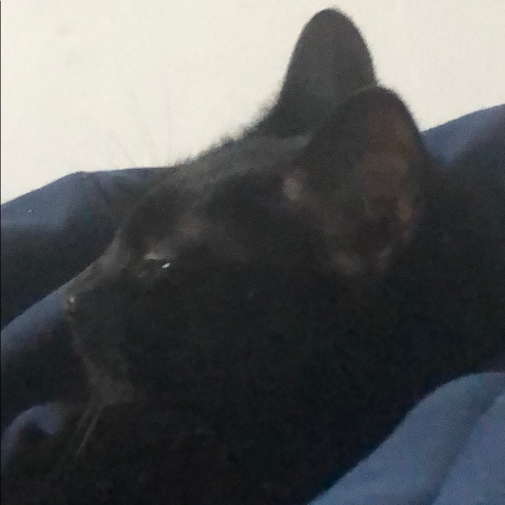 Meet your Posher, Andrew